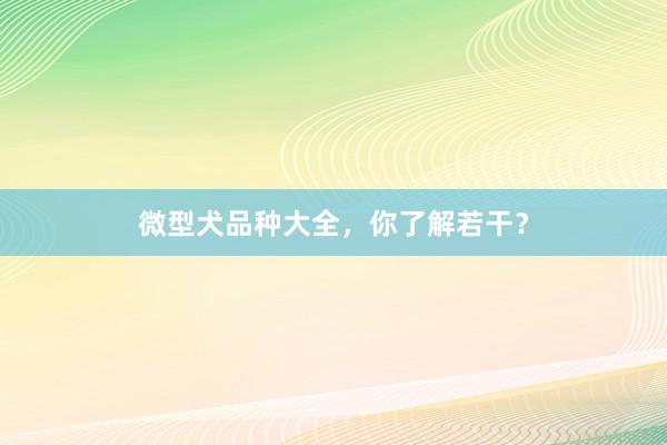 微型犬品种大全，你了解若干？